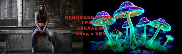 шишки Лихославль