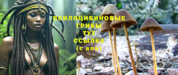МДПВ Магадан