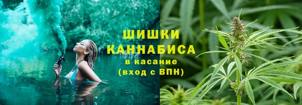 шишки Лихославль