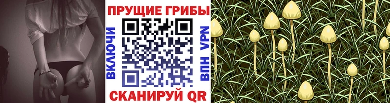Купить где  Анива  Галлюциногенные грибы прущие грибы 